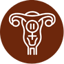 Ícone do sistema reprodutor feminino representando saúde da mulher e cuidados ginecológicos.