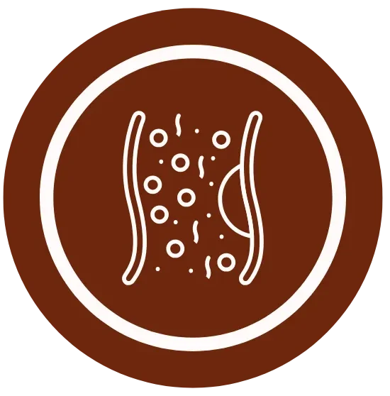 Ícone representando vasos sanguíneos com partículas de gordura, simbolizando alterações de colesterol e triglicerídeos.